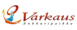http://www.varkaus.fi